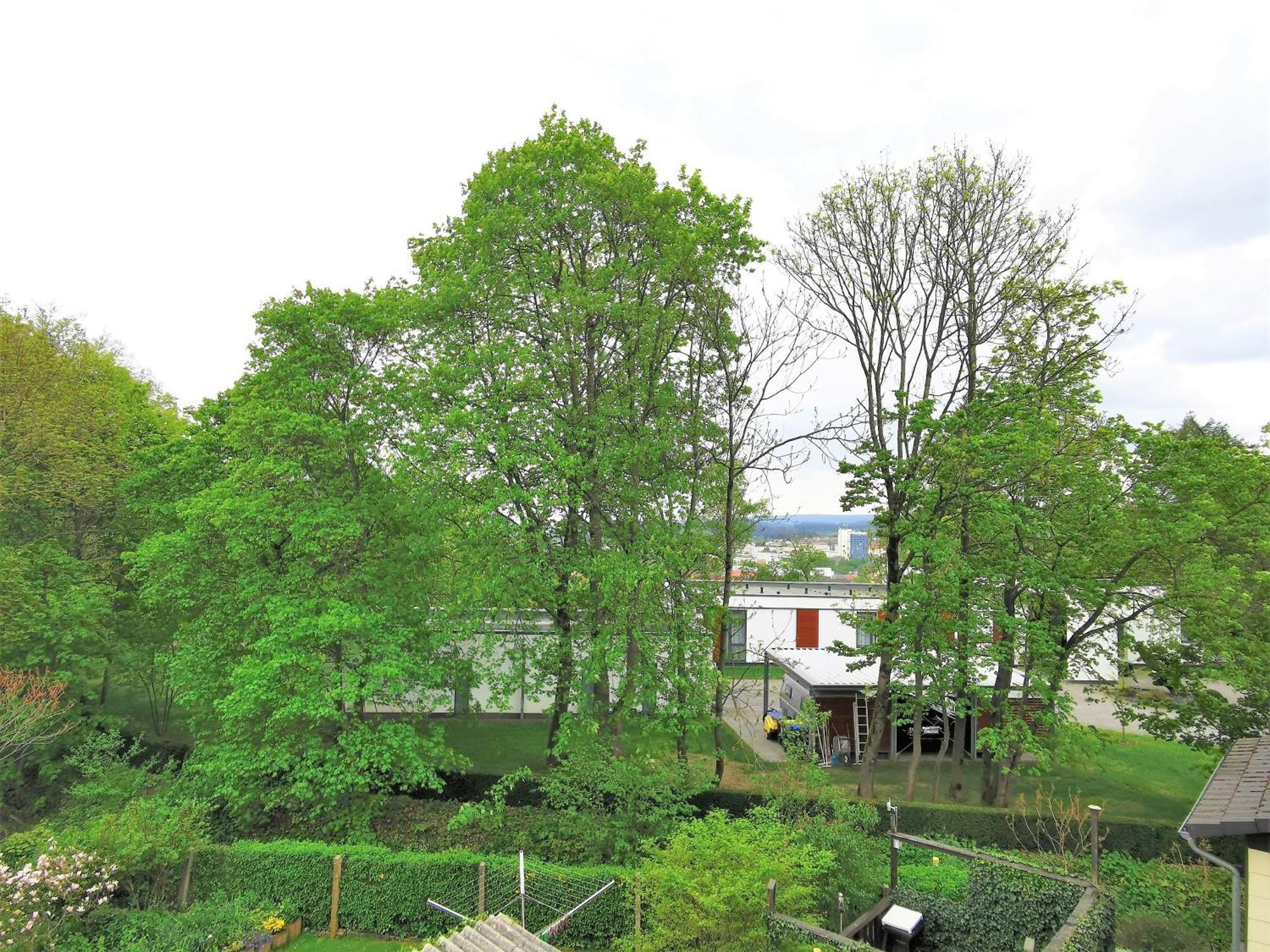 Bohnapartments - Stadtblick Zechenhaus - Balkon - Gratis Parkplatz - Wlan - Sehr Ruhig - Barrierearm Ilmenau Exteriör bild